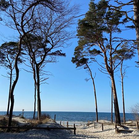 Ferienwohnung Strandkoje Dierhagen Esterno foto