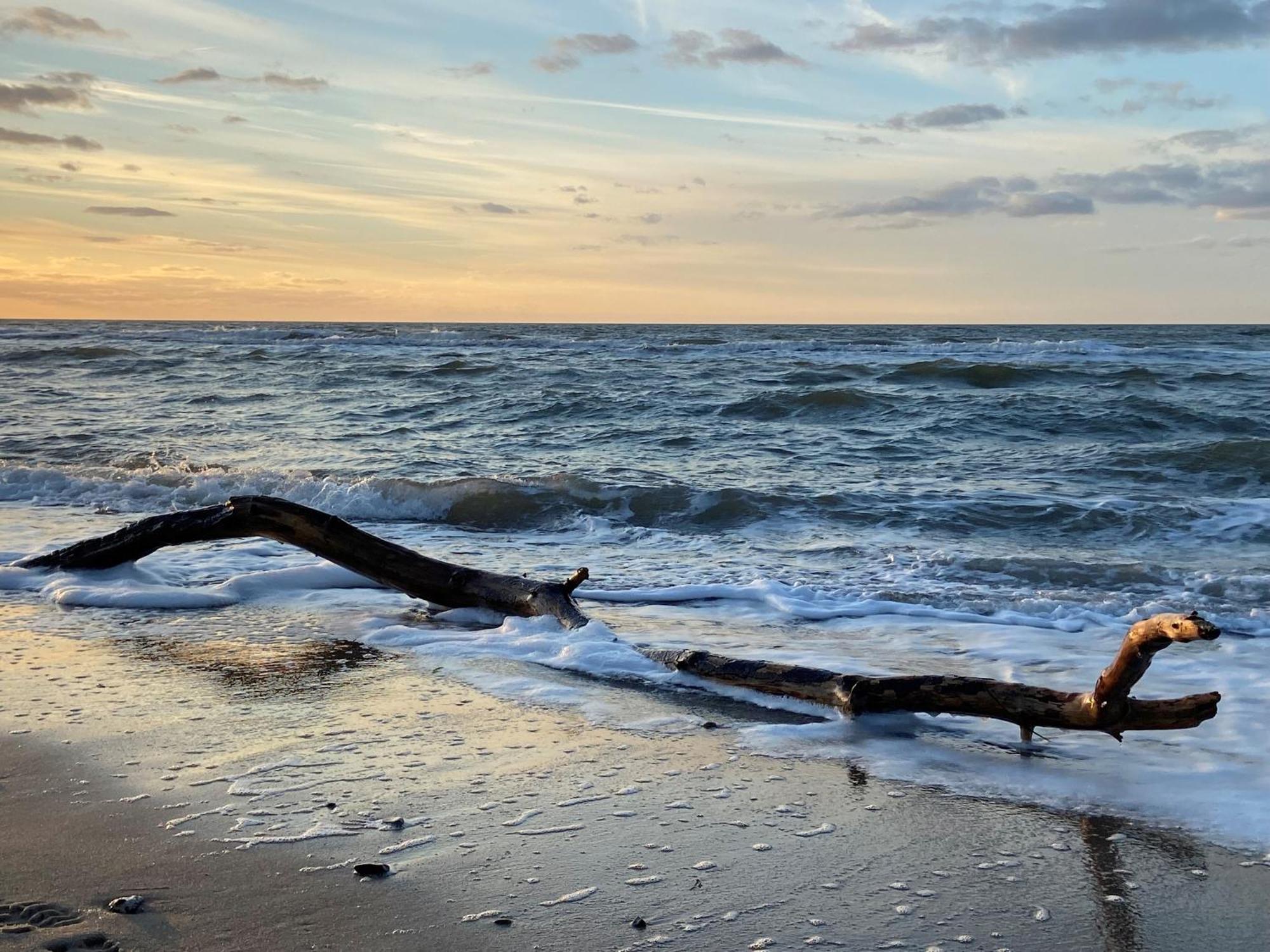Ferienwohnung Strandkoje Dierhagen Esterno foto