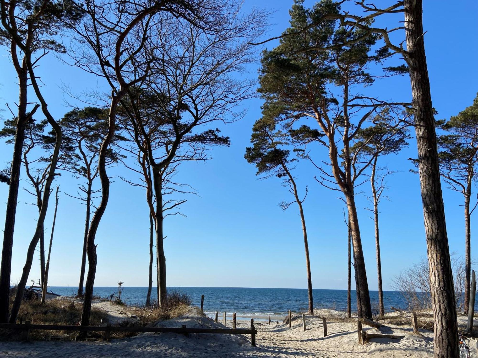 Ferienwohnung Strandkoje Dierhagen Esterno foto