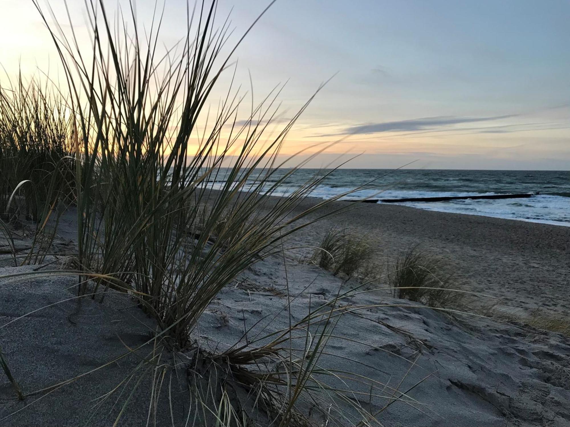 Ferienwohnung Strandkoje Dierhagen Esterno foto